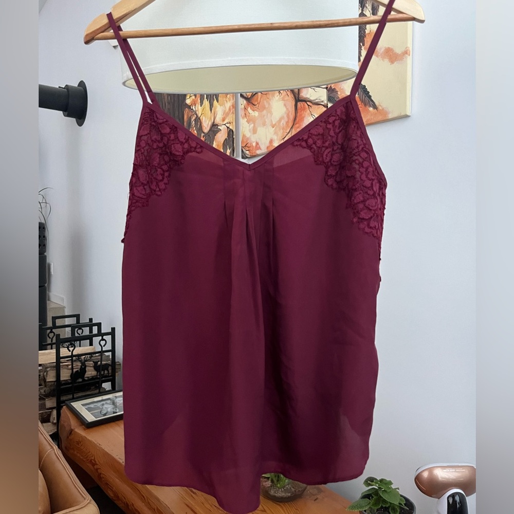 Aritzia Talula Camisole w/embroidered detailing